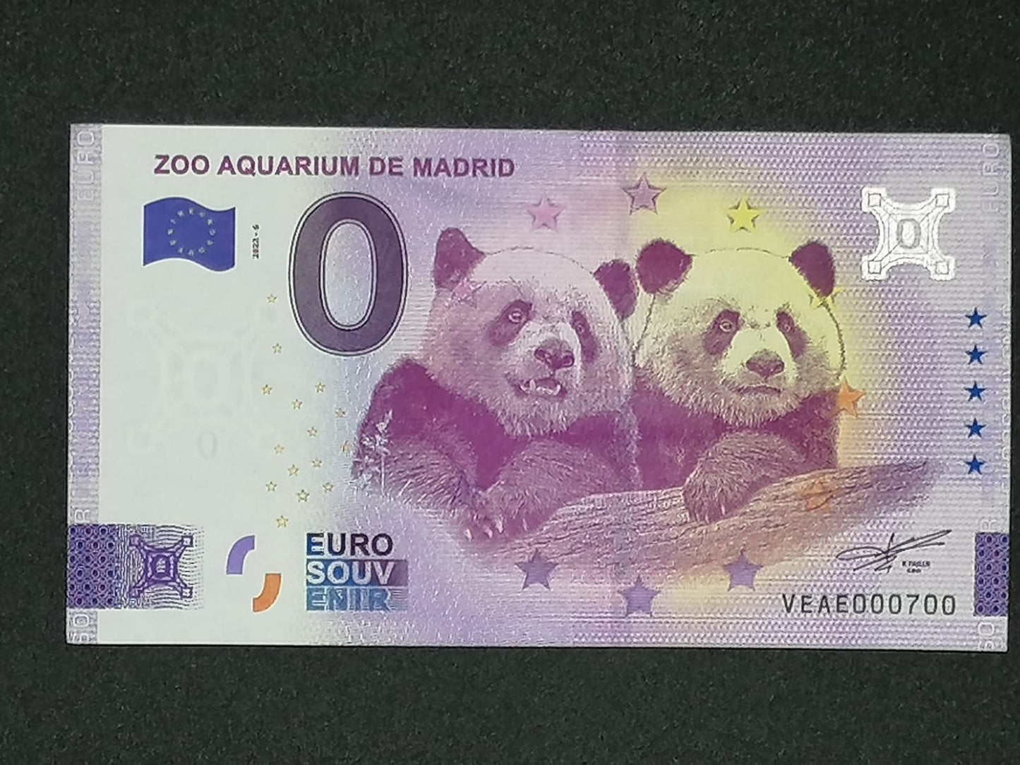 Edición 2022 Zoo Aquarium de Madrid - PANDAS